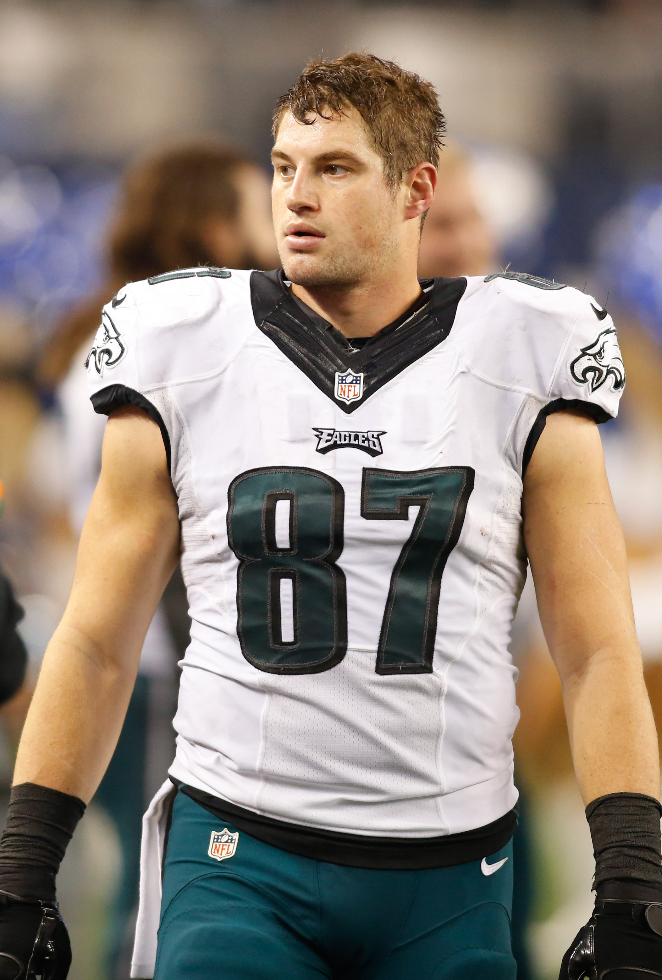 brent celek jersey