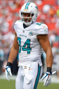 Jordan Cameron