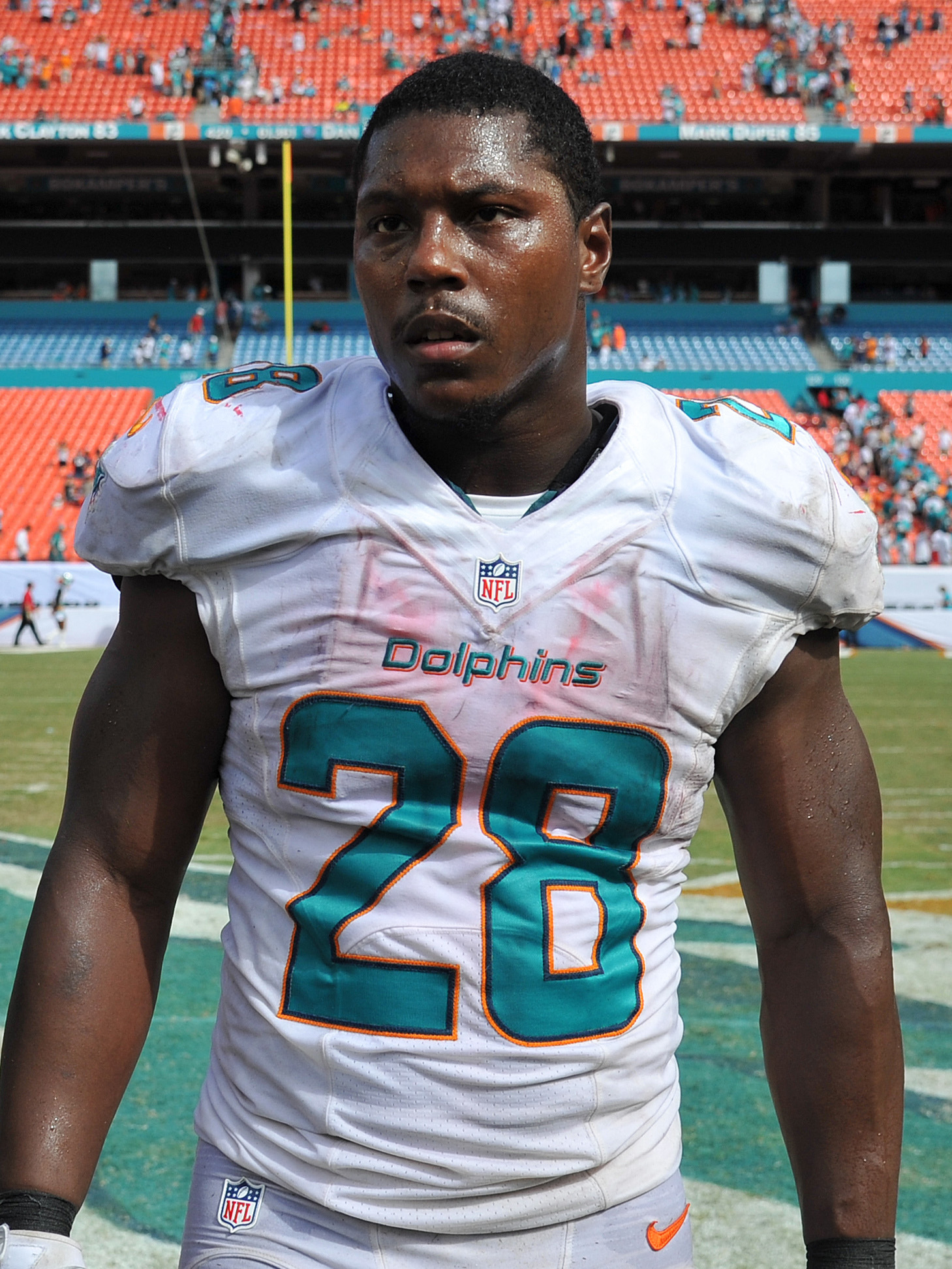 knowshon moreno dolphins jersey