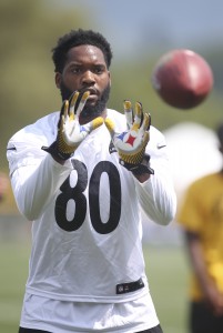 Ladarius Green (vertical)