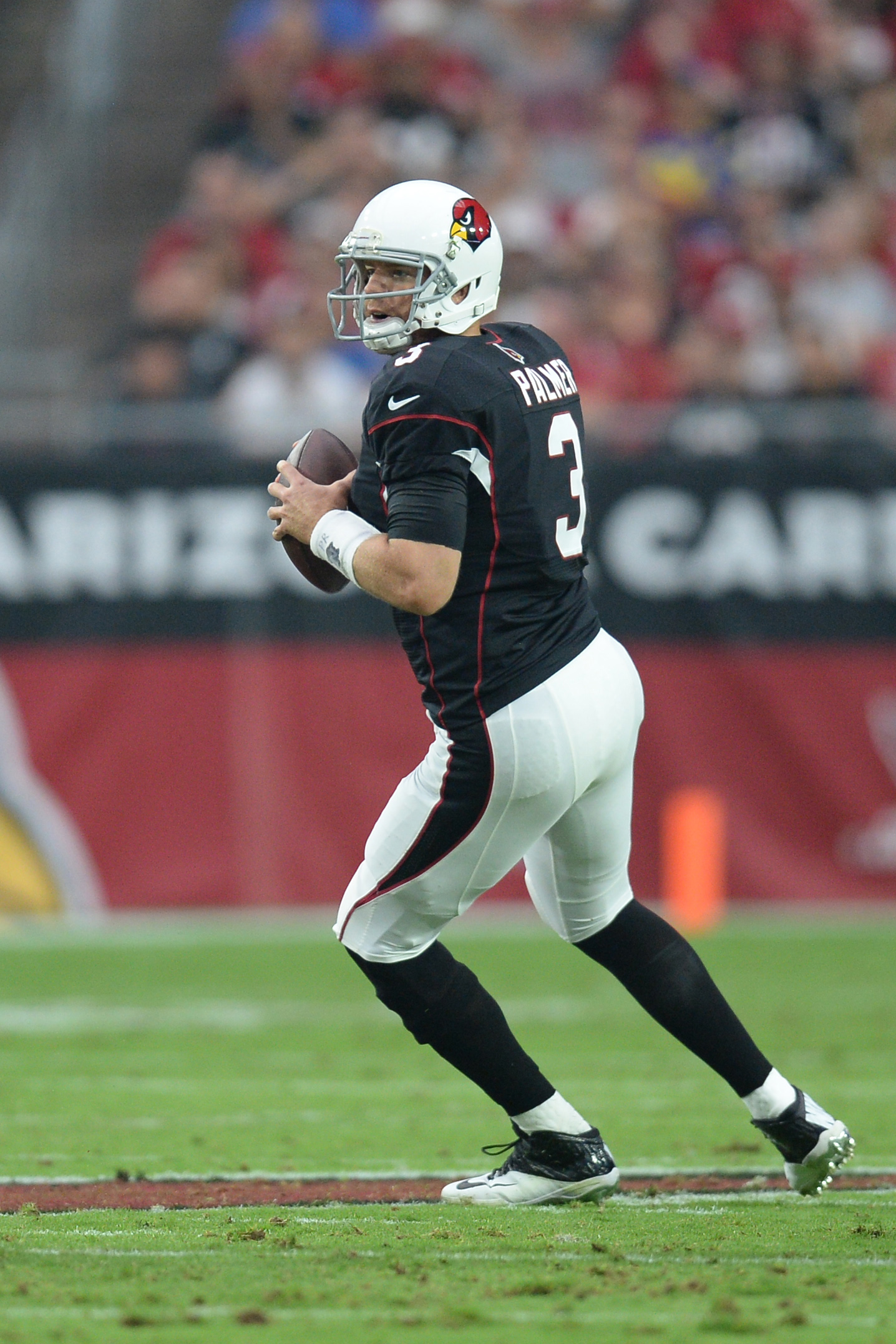 Did You Know?  The Surprising Link Between Jesse And Carson Palmer - tvk32qb