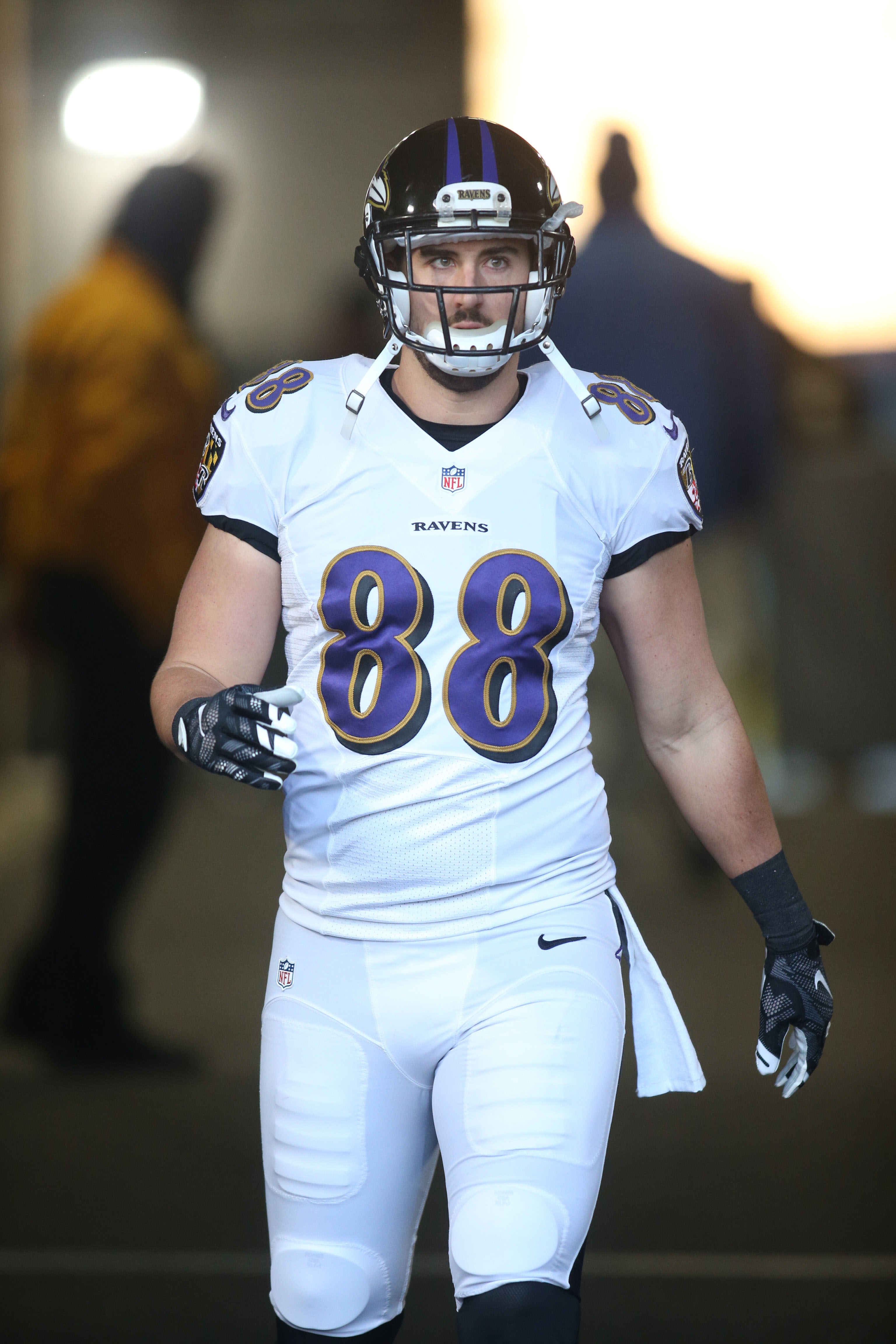 ravens pitta jersey