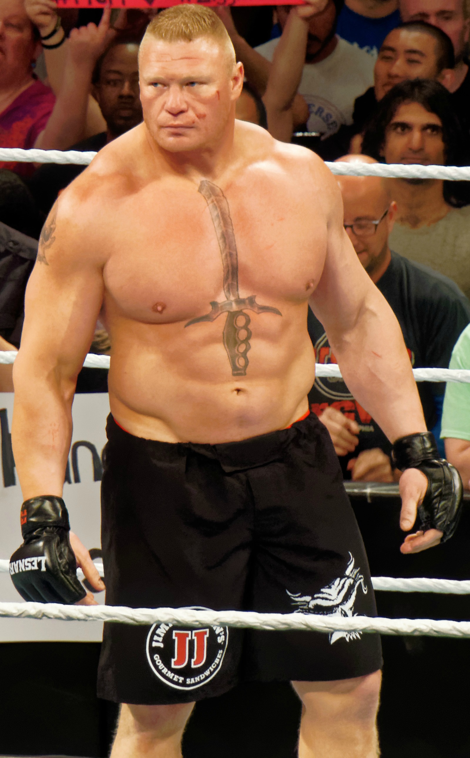 This Date In Transactions History Vikings Sign Brock Lesnar