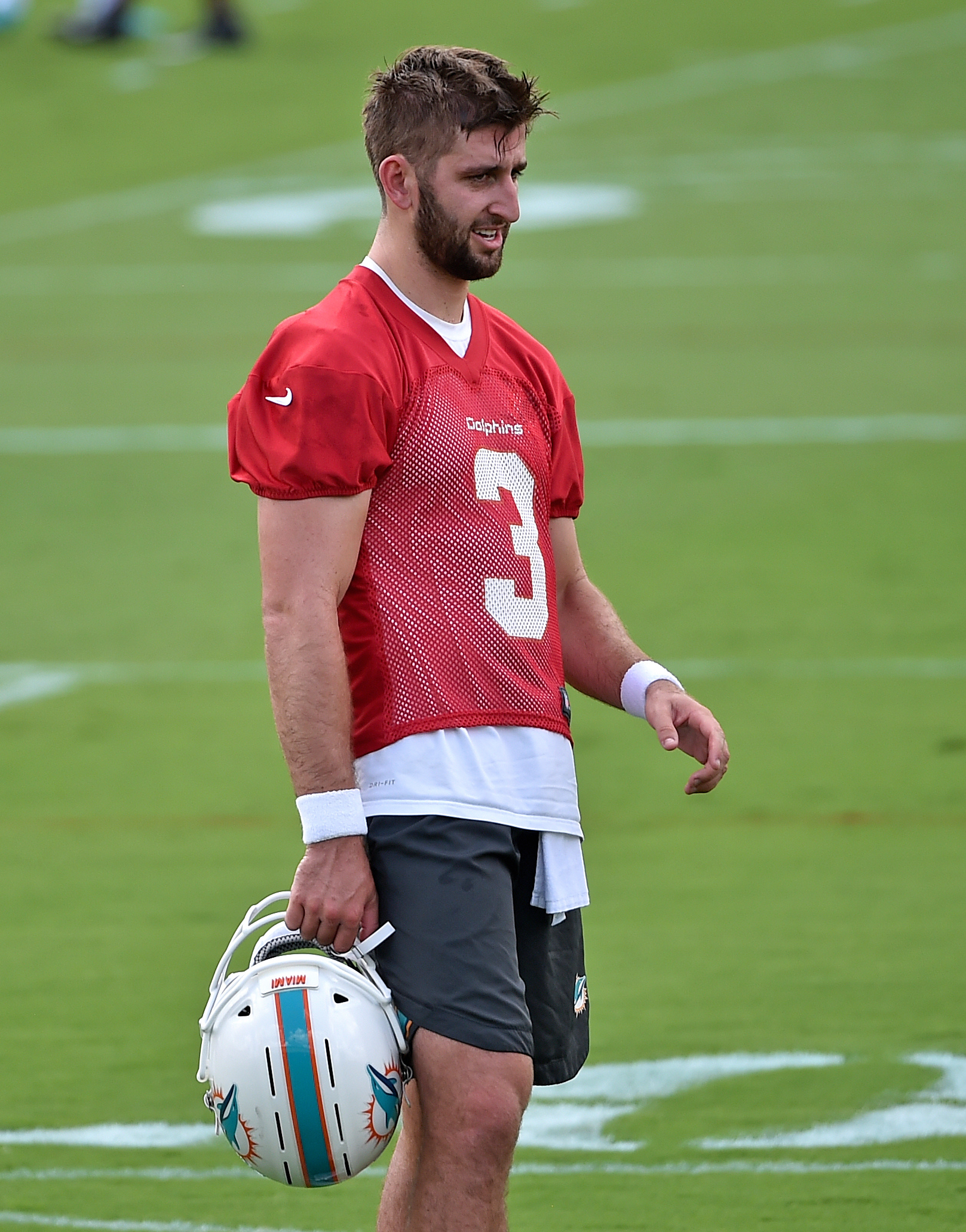 Dolphins Qb Depth Chart